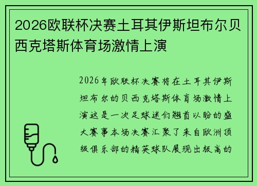 2026欧联杯决赛土耳其伊斯坦布尔贝西克塔斯体育场激情上演